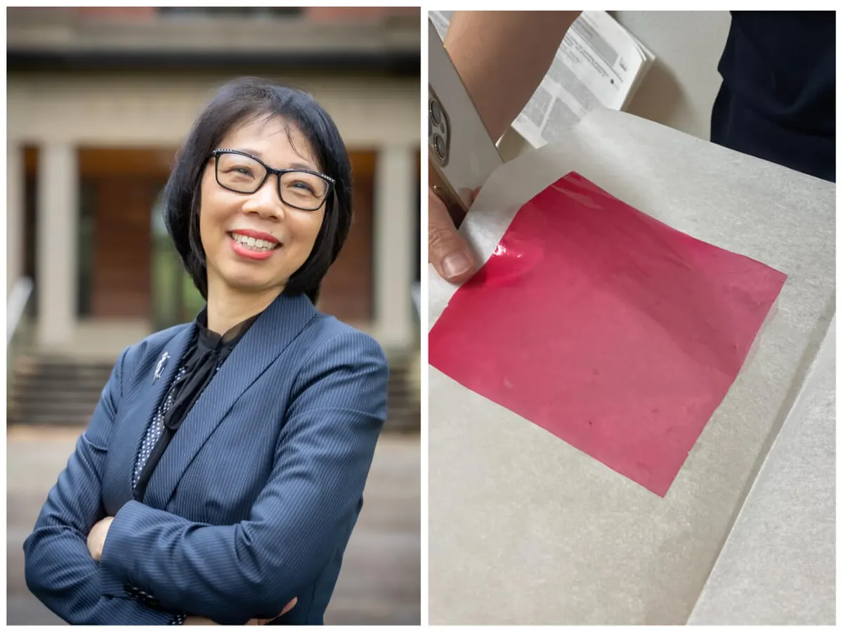 Could Dissolvable Cranberry Film Replace Plastic Packaging Someday?