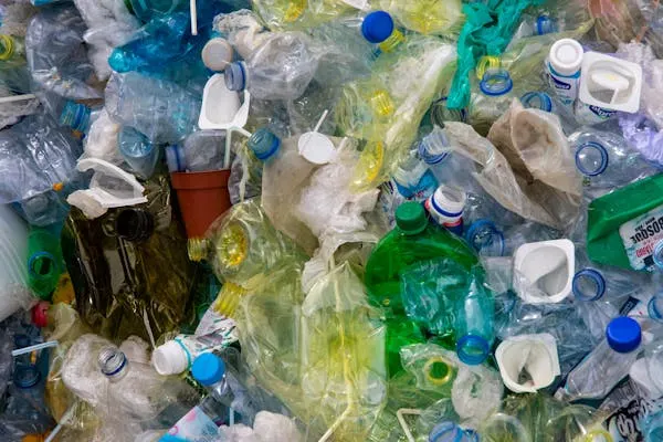 Brazilian researchers develop biodegradable food packaging film from fish skin